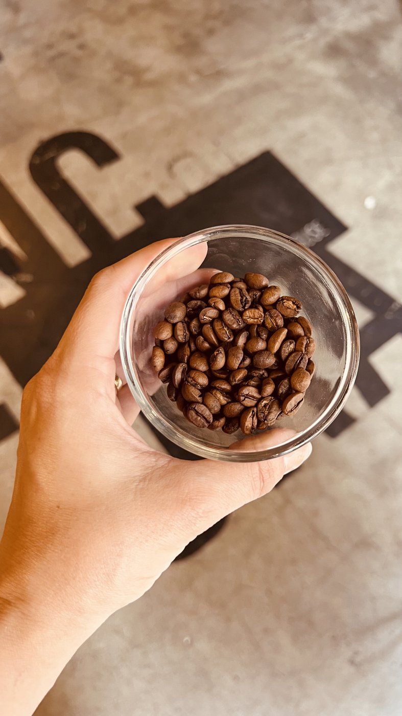 Grãos torrados do Catuaí Vermelho de fermentação anaeróbica do Tiago Chagas, servido no Âncora Coffee House